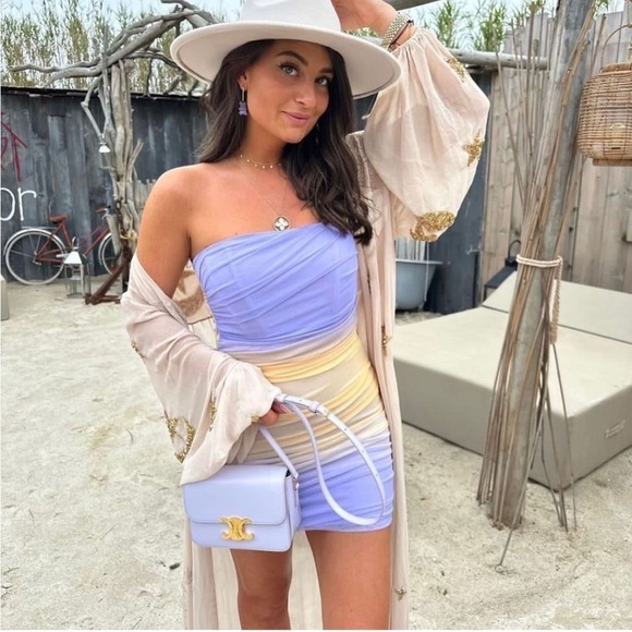 Zara Dresses & Skirts - Zara Lilac & Beige Ruched Draped Mesh Mini Dress